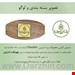 میز عسلی گرد دارژین 