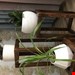 پایه گلدان دارژین مدل سه عددی